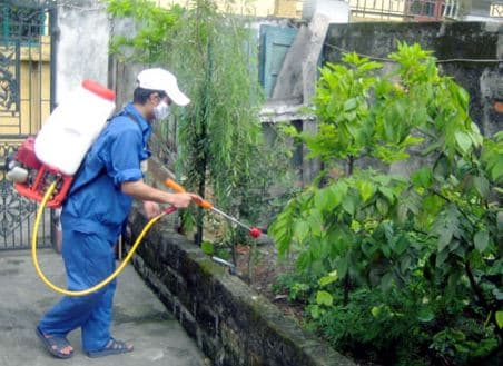 Dịch Vụ Diệt Muỗi Tại Hà Nội